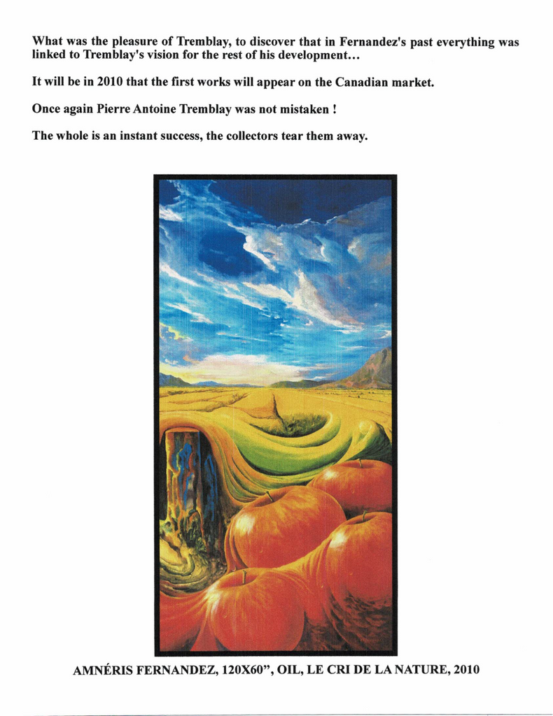 FERNANDEZ AMNÉRIS, 1950- (ÉBACRC / ÉBASTM) - Galerie2000