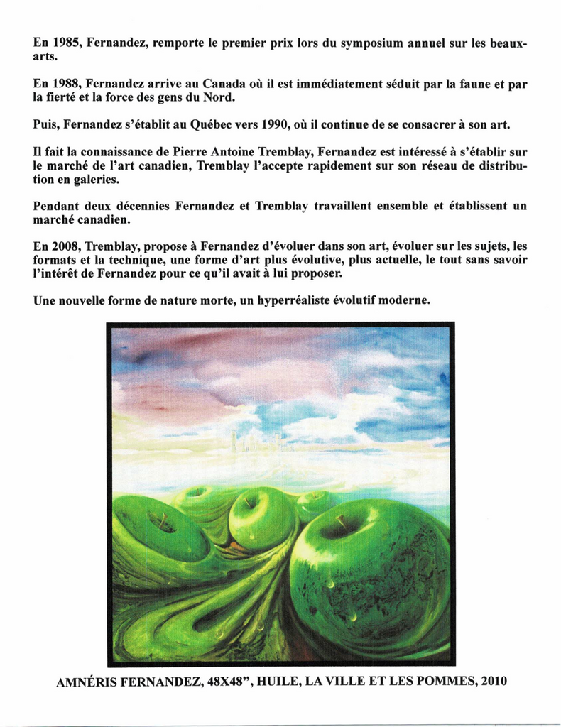 FERNANDEZ AMNÉRIS, 1950- (ÉBACRC / ÉBASTM) - Galerie2000